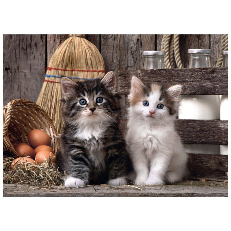 Laad de afbeelding in de Gallery-viewer, Clementoni Puzzel Lovely Kittens 1000 Stukjes
